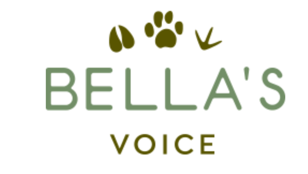 Bella's Voice